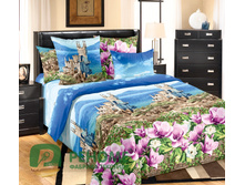 1250� ���������� ������.jpg