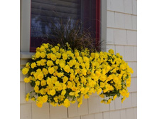 .����� ��������� ���������� ������� ���. ����. ����� ������ �� ���������..JPG