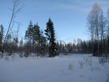 IMG 8273.jpg