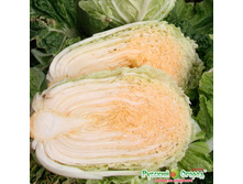 ������� ��������� ����� ���� 16,2 ���. (30 ��.).jpeg