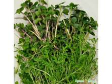 ����������� ����� �������� ����� 19 ���. (10 ��.) - ������� �������. ����� � �����.jpeg