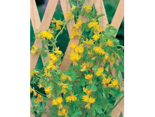 .��������� ��������� ��������� �����. ���. ����. ����� ������ �� ���������.jpg