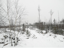 IMG 20180121 111559.jpg