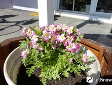 ������� ������������, �����4. ������ ������ ������ �����.jpg