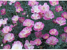 ��������� � ����. ���. ����6.jpg