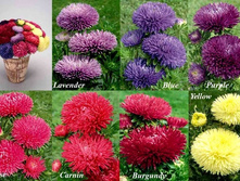 ����� ����, ��������� � ������� �����.jpg