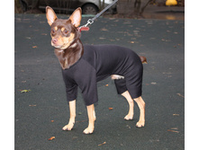 ����� ������!!! ���������� ������. ������� � ������! 4.jpg