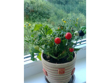 ����� ������� �����4.jpg