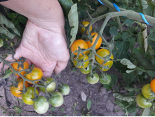 ����� ������� ��������� ���. ����.jpg