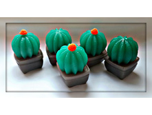 ������ 100 ���