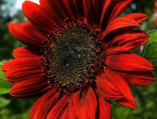 ������������ ������ ��������.jpg