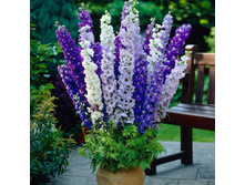 ���������� �������� ��������. �����3.jpg