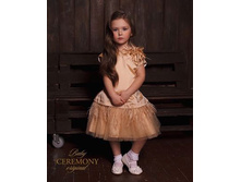 ���. ����