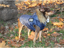 ������(��������) 'Gerb Rus' �����. ������� � ������! 3.jpg