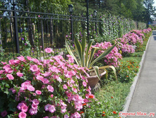 �������� ������� ����, �����4.jpg