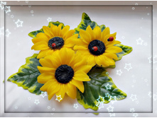 ���������, 70 ���