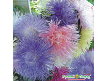 ����� ������� ������ I, ����� 1 ���. ����..jpeg