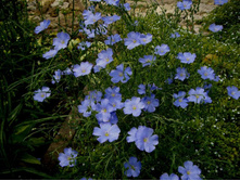 ��� �������� ������.jpg