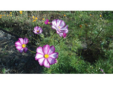 ������ ������2.jpg