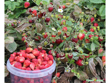 ��������� ���������� ������������ ������� 16 ���. (0,05 ��.).jpeg