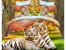 ����� ����� 3D.jpg