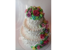 ��������� � �������� ���