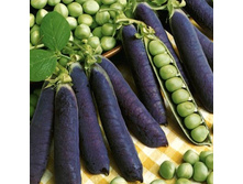 ����� �������� ��������� ������ 15 ���. (3 ��.).jpg