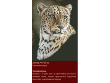 �-343 ������ ������ (��) 45�60 ���� 1923 ���.png