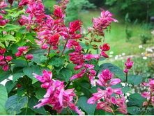 ������� ������ ����������. ���� �� ��������� � ����� 4.jpg