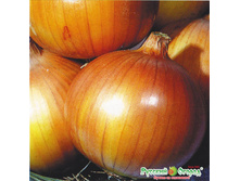 ��� �������� F1 ����� 14,8 ���. (50 ��.).jpeg