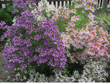 ��������� ��������� �����2.jpg