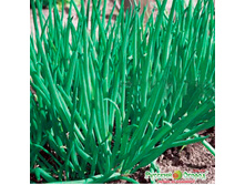 ��� ����� ���������� ����������� 9,10 ���. (1 ��.).jpeg