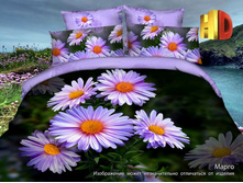 ����� �����.jpg