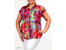 ������ 2704134-42.jpg