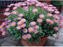 �������� ������� ���������2.jpg