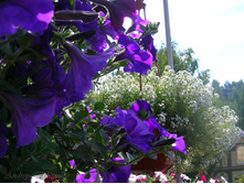 062-1.jpg