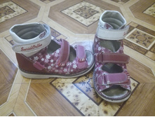 26 ������