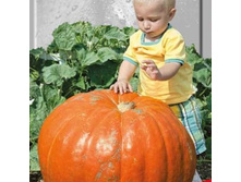 ����� ����������� 10 ���. (1 ��).jpg