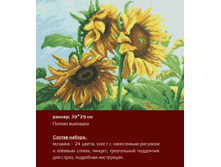 �-209 ���������� ������ (��) 39�29 ���� 984 ���.png