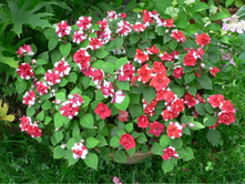 ��������� ������� ���������3.jpg