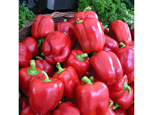 ����� �������������� ���� ���. ����.jpg