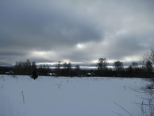 IMG 8286.jpg