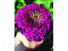 ������ �������������� ������� ���. ����. ����� ������ �� ���������.jpg