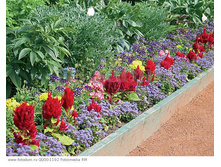 ������� �������� ��� ��� � ����������.jpg