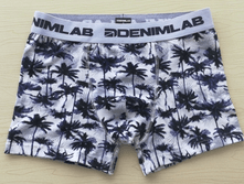 240 ��� DEN*MLAB