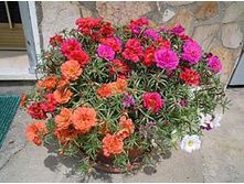 �������� ����� ��������, �����..jpg