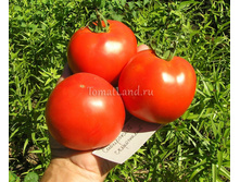 ����� ������� ������ ��������� ����������� 11 ���. (0,2 ��.).jpg