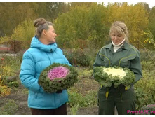 ������� ������������.jpg