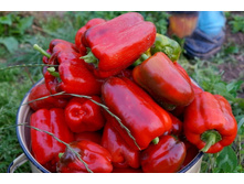 ����� �������������� ���� 11 ���. (0,3 ��.).jpg