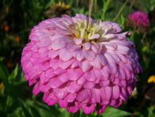 ������ ������� ������3.jpg